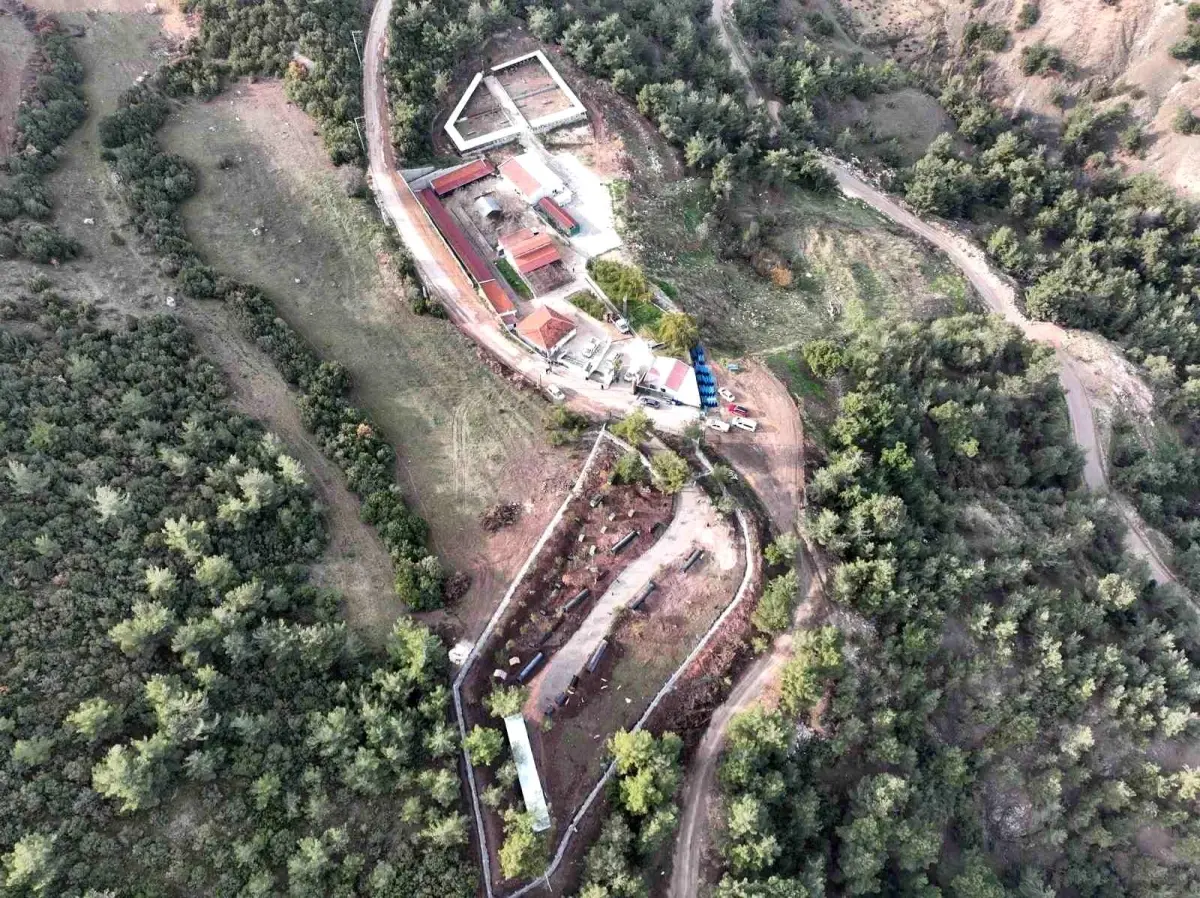 Bilecik’te Sokak Hayvanları İçin Kış Desteği Devam Ediyor