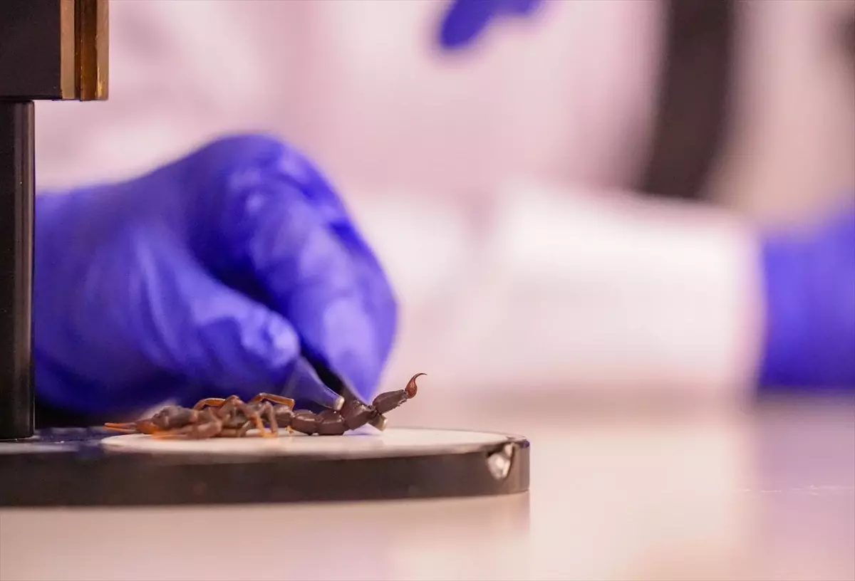 Diyarbakır’da Akrep Çiftliği ve Bilimsel Destek Projesi