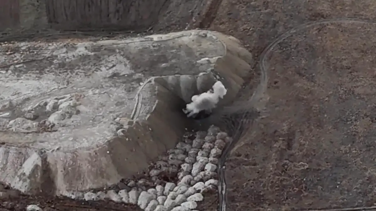 Erzurum 2. OSB’de Top Mermisi Tarama ve İmha Çalışmaları Başladı