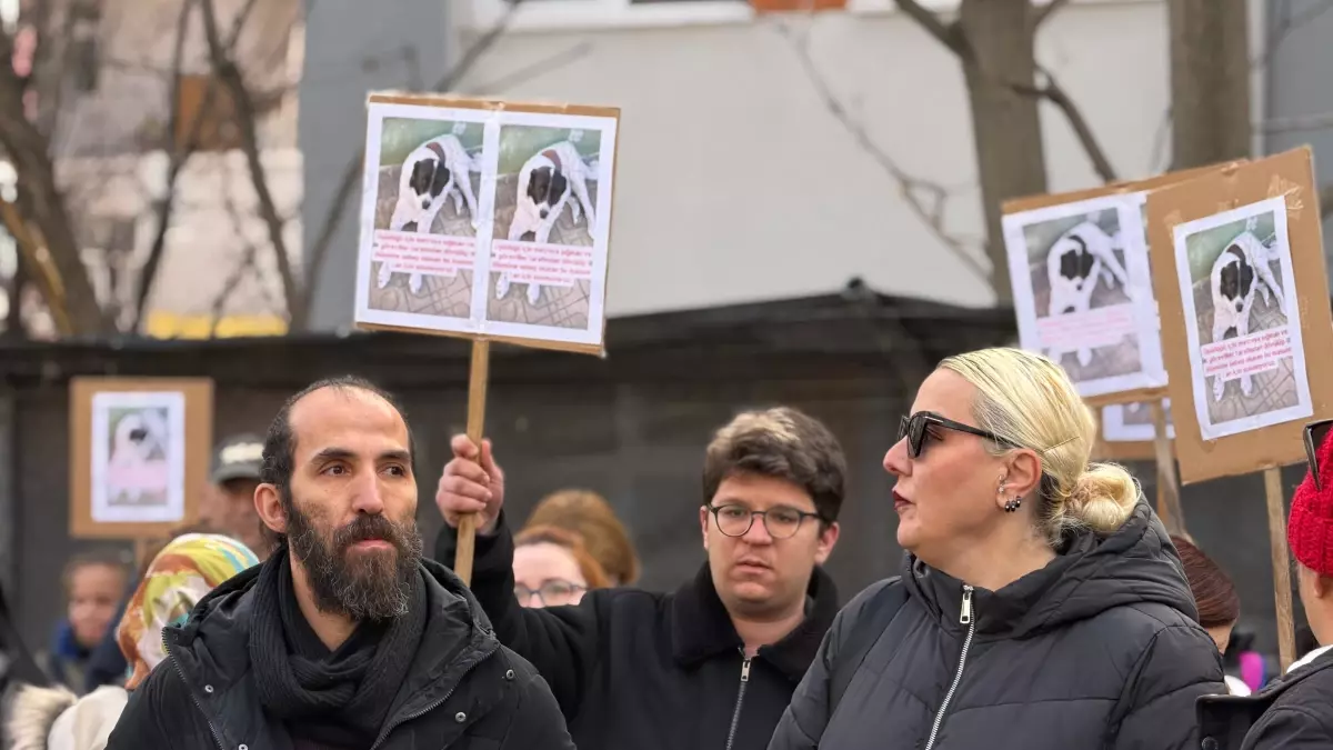 Hayvanseverler Matmazel'in Ölümüne Karşı Sokaklarda Protesto Düzenledi
