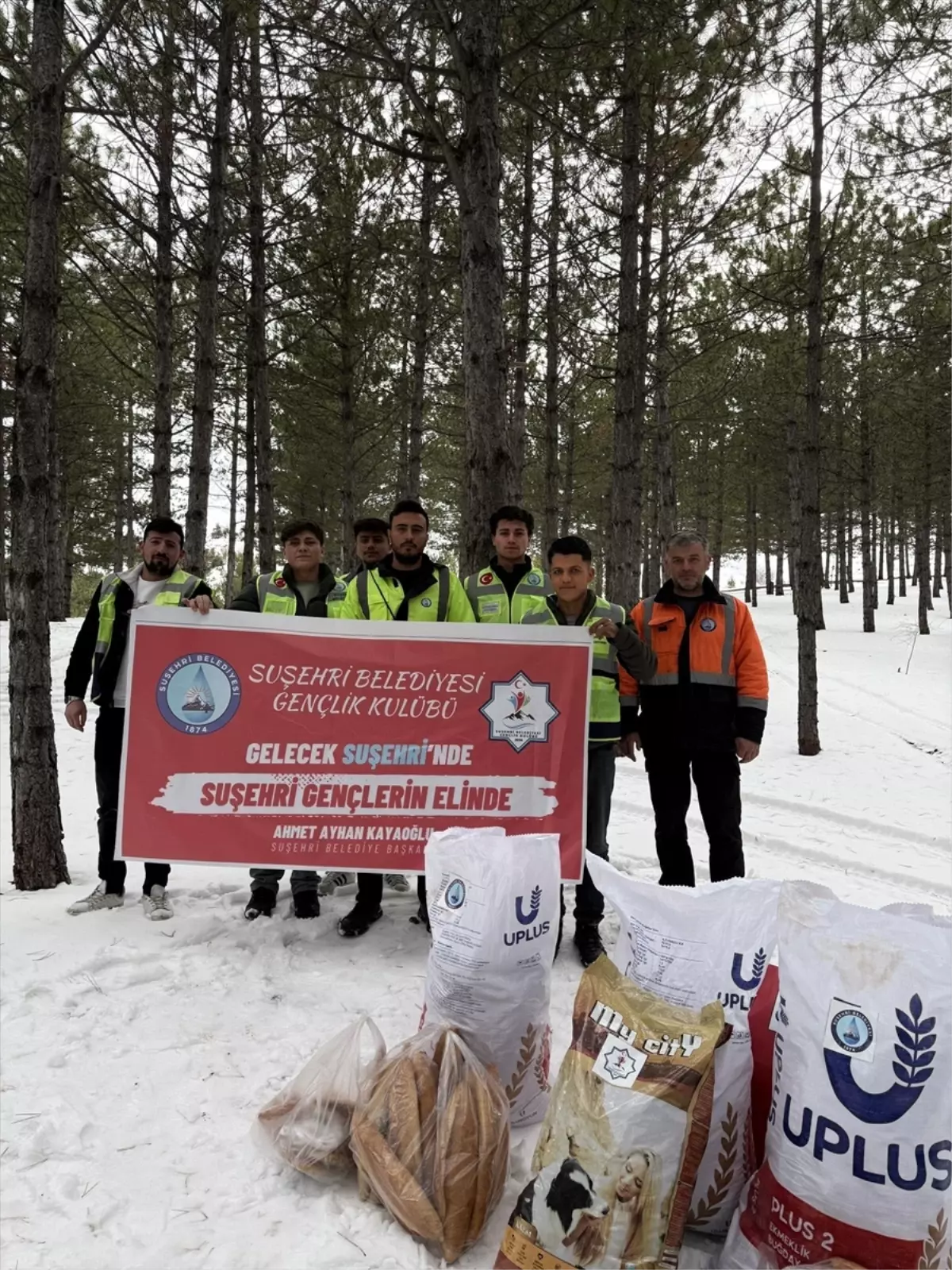 Suşehri Belediyesi Kış Aylarında Yabani Hayvanlara Doğal Yem Bırakıyor