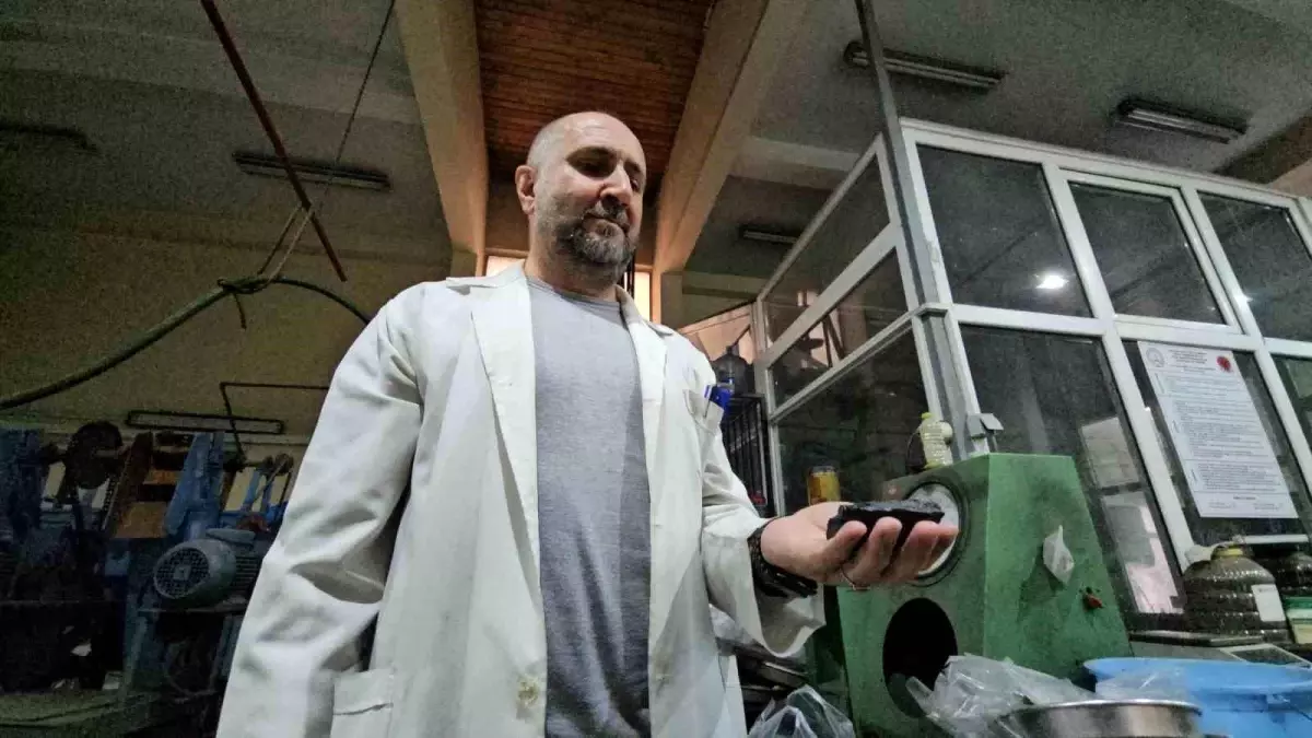 Zonguldak'ta Taşkömürü Atıklarından Nadir Toprak Elementi Üretimi Araştırması