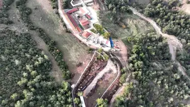 Tedavi gören bir sokak kedisi