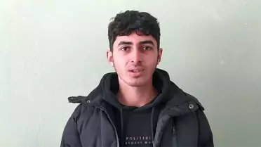 Sivas'ta Aç Kurtların Şehir Sınırlarını Aşması Halkı Endişelendiriyor