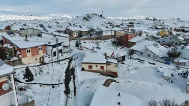 Kılıçköy'de doğal yaşam alanında yaban hayvanları