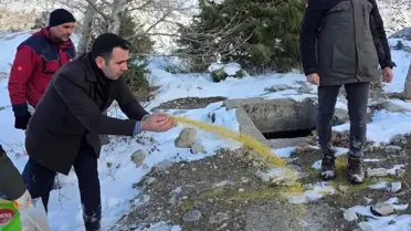 Gölbaşı'nda Şiddetli Kar Altında Yaban Hayvanlarına Yardımcı Yem Dağıtımı