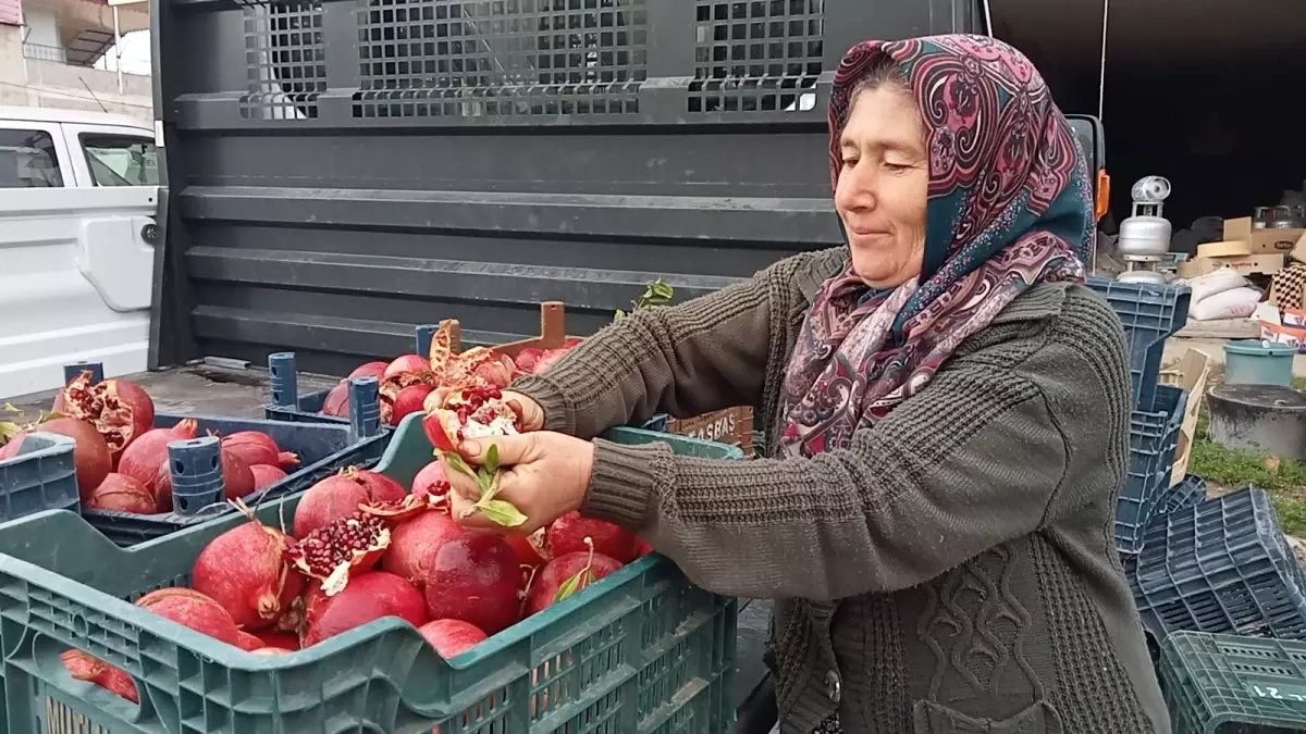 Gülnar’da Kadınlar İmece Usulüyle Nar Ekşisi Üretiyor: Geleneksel Lezzet Yeniden Canlanıyor