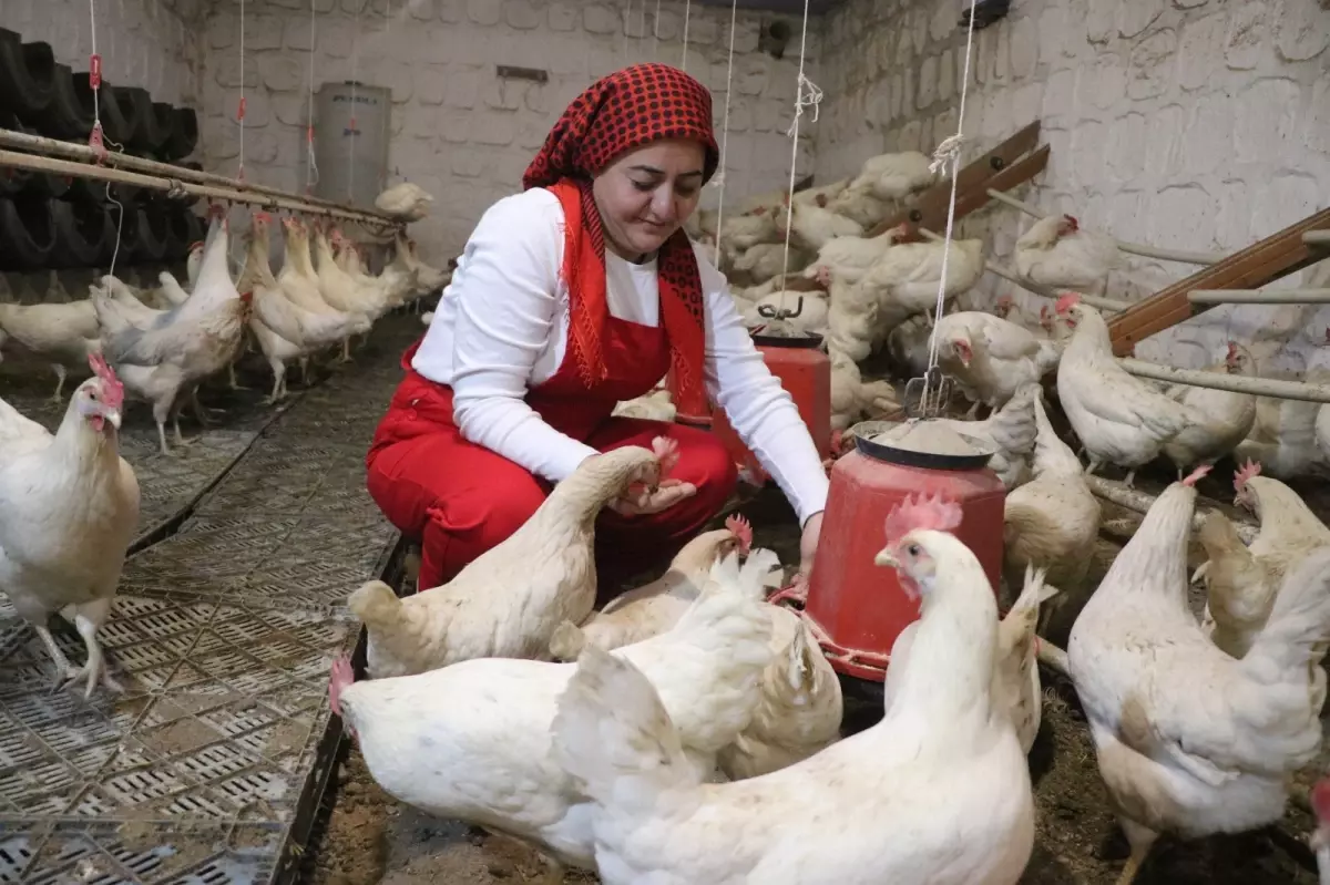 Pandemi Sonrası Şehirden Kaçan Çiftçiler Kayseri’de Organik Tarıma Başladı