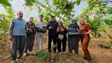 Silifke’de Karadut Hasadı Başladı: Üreticileri 130 TL Fiyat Sevindirdi