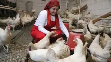 Pandemi Sonrası Şehirden Kaçan Çiftçiler Kayseri’de Organik Tarıma Başladı