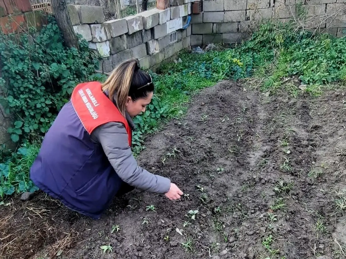 Lüleburgaz’da Gıda Denetimleri Sorunsuz Tamamlandı, Yeni Arı Yetiştiriciliği Kursu Açıldı