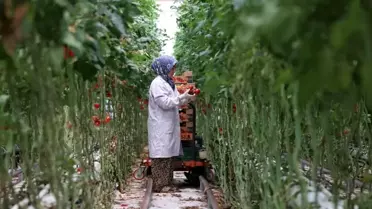 2025'te Türkiye'nin Jeotermal Enerji Yatırımları Hız Kazanıyor