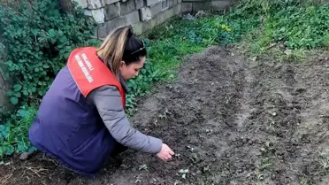 Lüleburgaz’da Gıda Denetimleri Sorunsuz Tamamlandı, Yeni Arı Yetiştiriciliği Kursu Açıldı