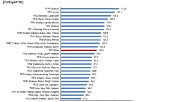 2024 fiyat düzeyi endeksi haritası