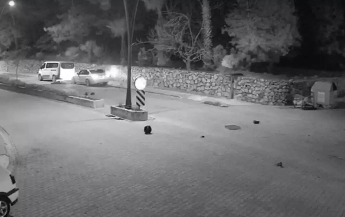 Marmaris’te Alkollü Sürücünün Çarptığı Motosiklet Kazası: 2 Yaralı