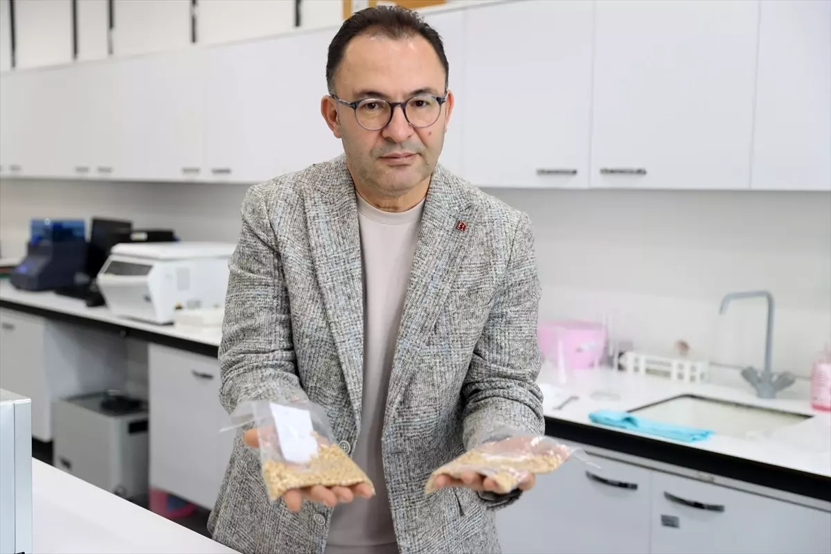 Sivas Bilim ve Teknoloji Üniversitesi'nden Beş Yeni Yerli Soya Tohumu