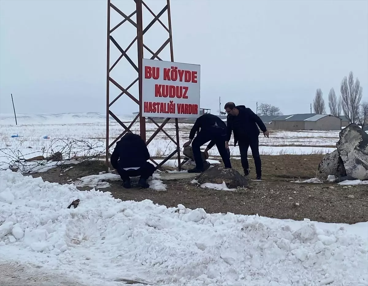 Bitlis Köyünde Kuduz Nedeniyle Karantina Uygulandı