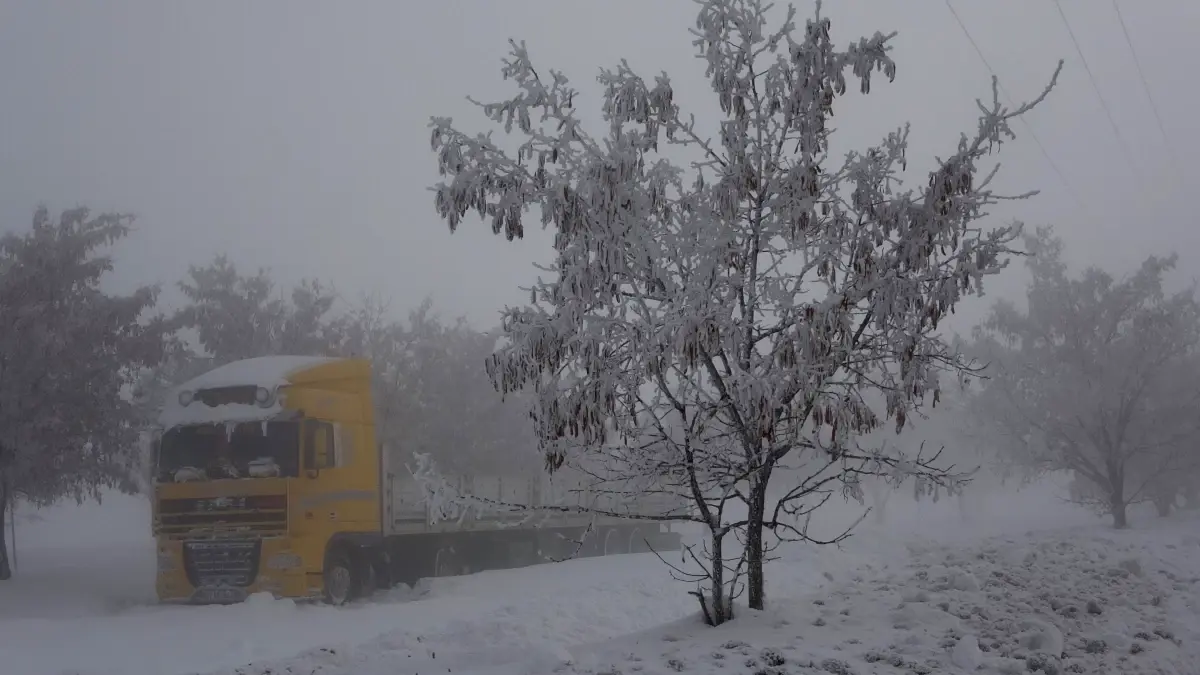 Bitlis'te Yoğun Sis Görüş Mesafesini 5 Metreye Düşürdü