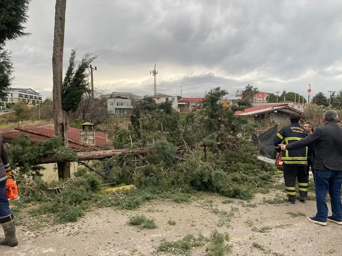 Yalova'nın Çınarcık İlçesinde Şiddetli Rüzgar Ağları Yere Döktü