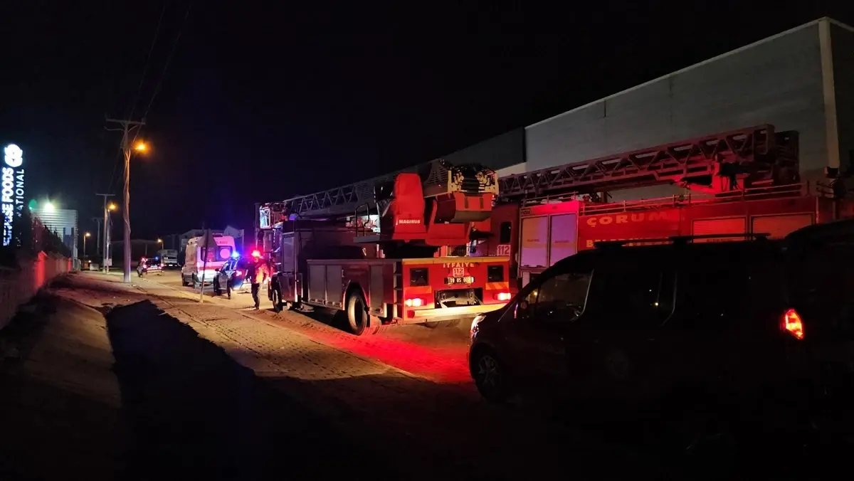 Çorum Organize Sanayi Bölgesi'nde Yangın Kontrol Altına Alındı