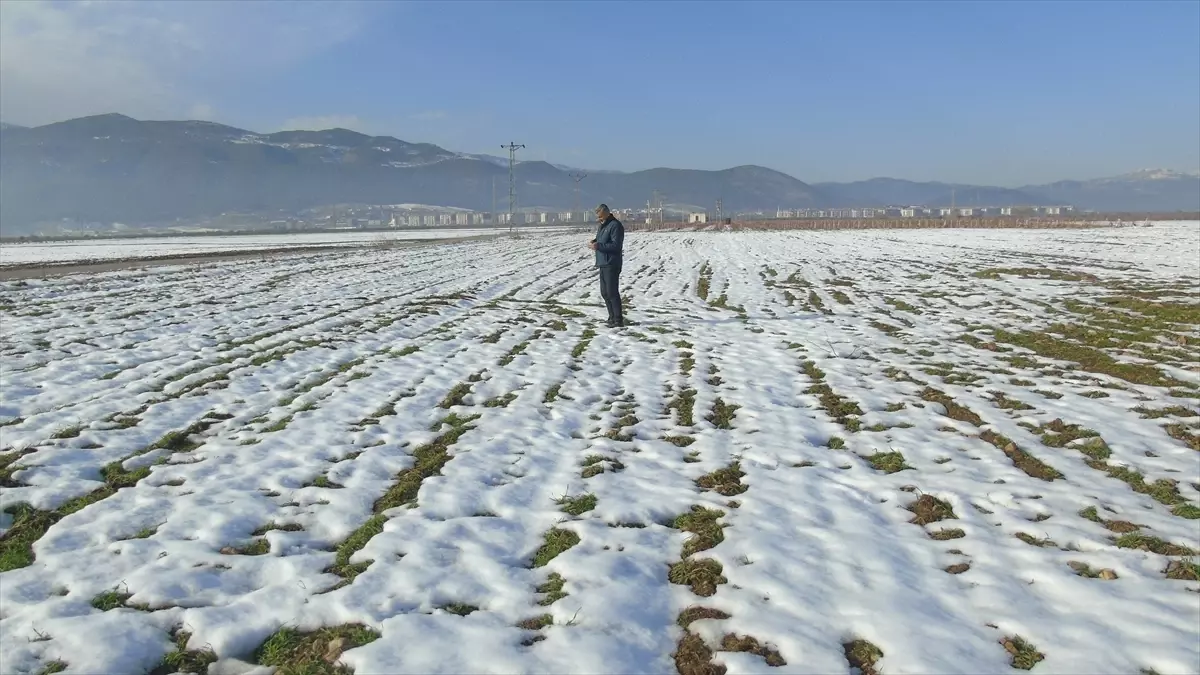 İslahiye’de Kar Yağışı Çiftçilere Umut Verdi
