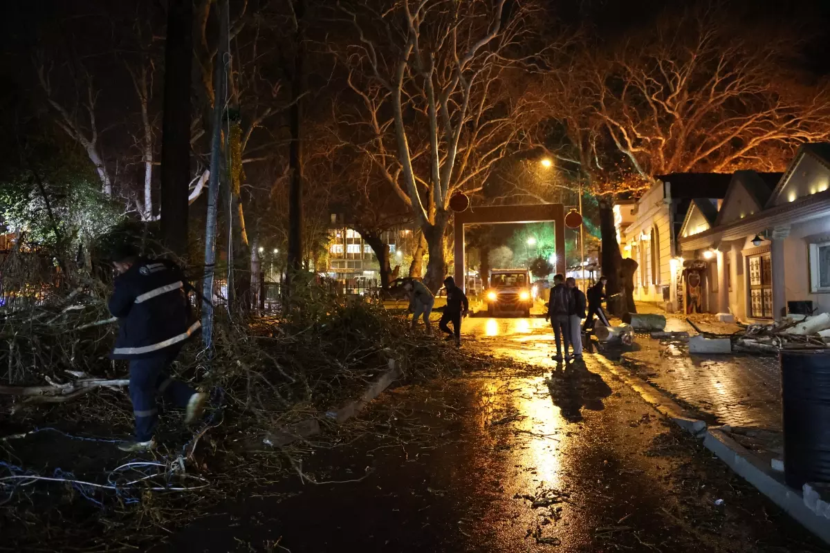 Şiddetli Rüzgar Bornova’da Ağaçları Yere Döktü