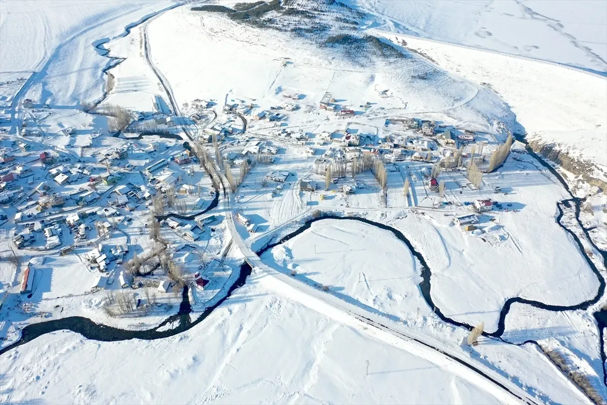 Kars Selim’deki Menderesler Kış Hayvancılığına Hayat Katıyor