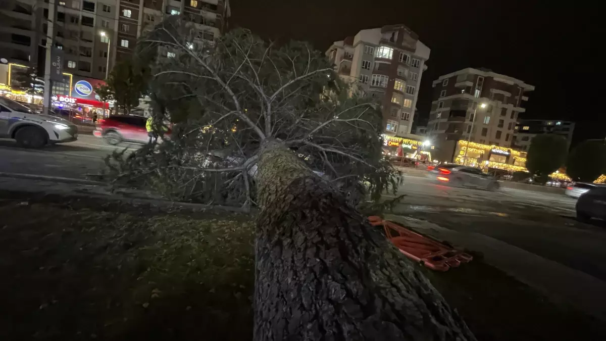 Kayseri'de Şiddetli Fırtına Park Halindeki Aracın Üzerine Ağaç Döktü