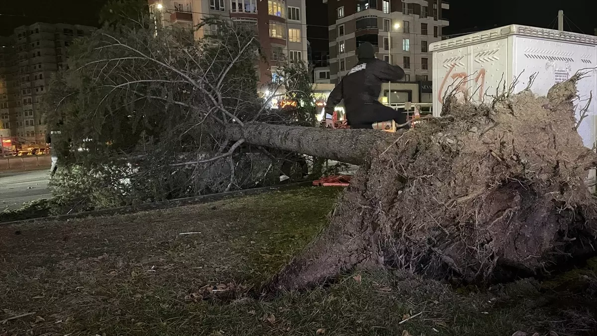 Kayseri Talas'ta Şiddetli Rüzgar Bir Arabayı Ağaçla Yakaladı