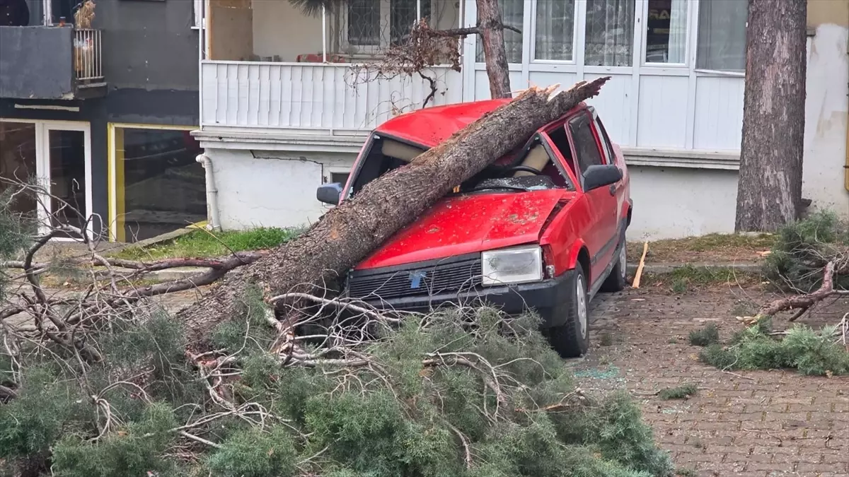 Kütahya’da Şiddetli Rüzgar Ağaç Devrilmesine ve Elektrik Kesintilerine Yol Açtı