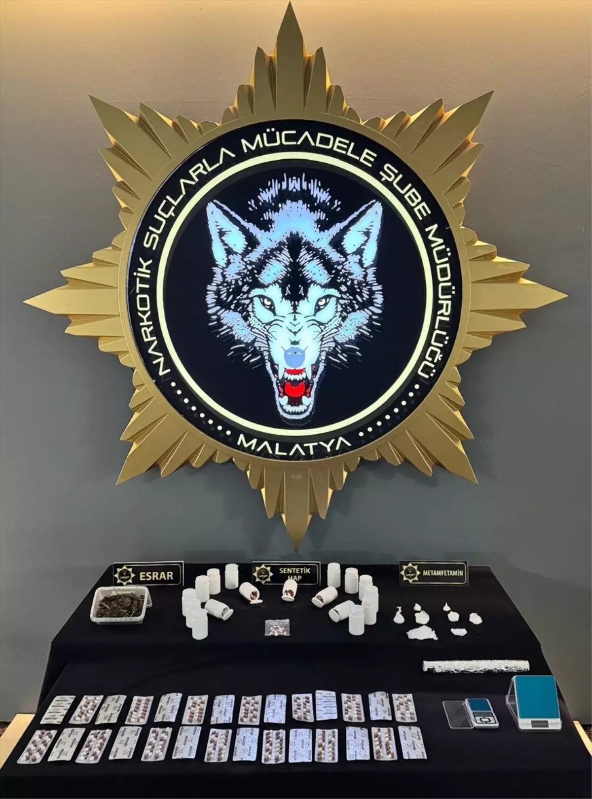 Malatya’da Uyuşturucu Operasyonu: 13 Şüpheli Tutuklandı, 340 Hap Ele Geçirildi