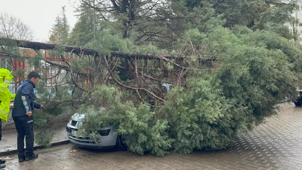 Manisa’da Şiddetli Sağanak ve Kuvvetli Rüzgarlar Çatıları ve Ağaçları Yıktı