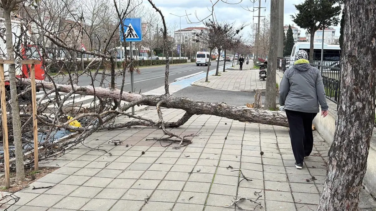Tekirdağ’da Şiddetli Fırtına Balıkçılara ve Eğitim Uçuşlarına Engel Oldu