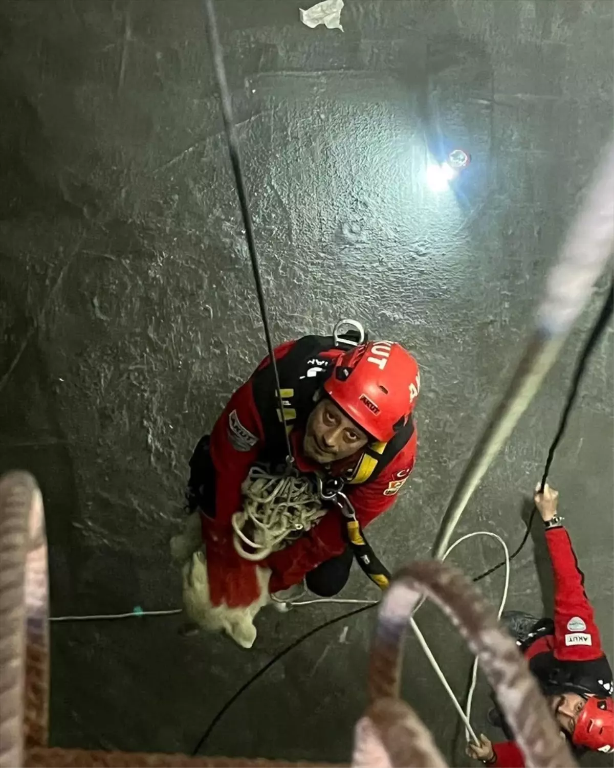 Trabzon'da 7 Metrelik Çukura Düşen Köpek AKUT Tarafından Kurtarıldı