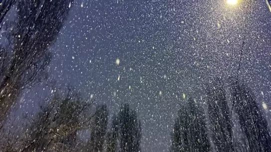Ardahan ve Kars'ta yoğun kar yağışı