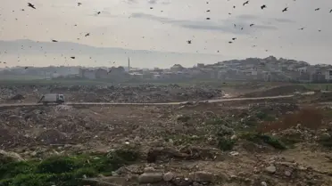 Bursa çevre cezası belgesi