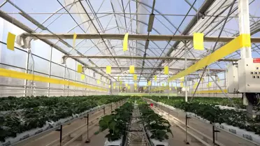 Gaziantep atık enerji üretim tesisi