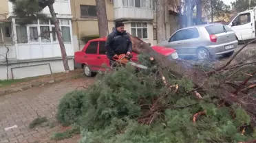 Gediz'de fırtına sonrası hasar görmüş binalar