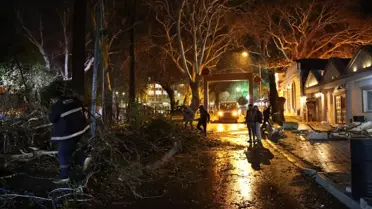 Rüzgar nedeniyle devrilen ağaç ve park halindeki araç