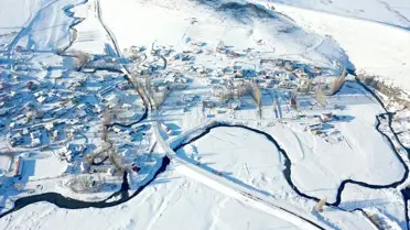 Kars Selim’deki Menderesler Kış Hayvancılığına Hayat Katıyor