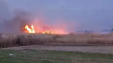 Yangın sonrası söndürülmüş alan