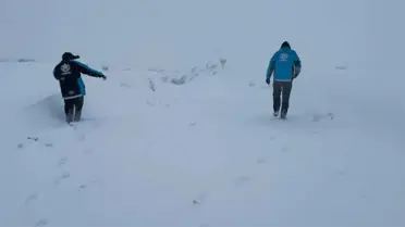 Kaza sonrası olay yeri