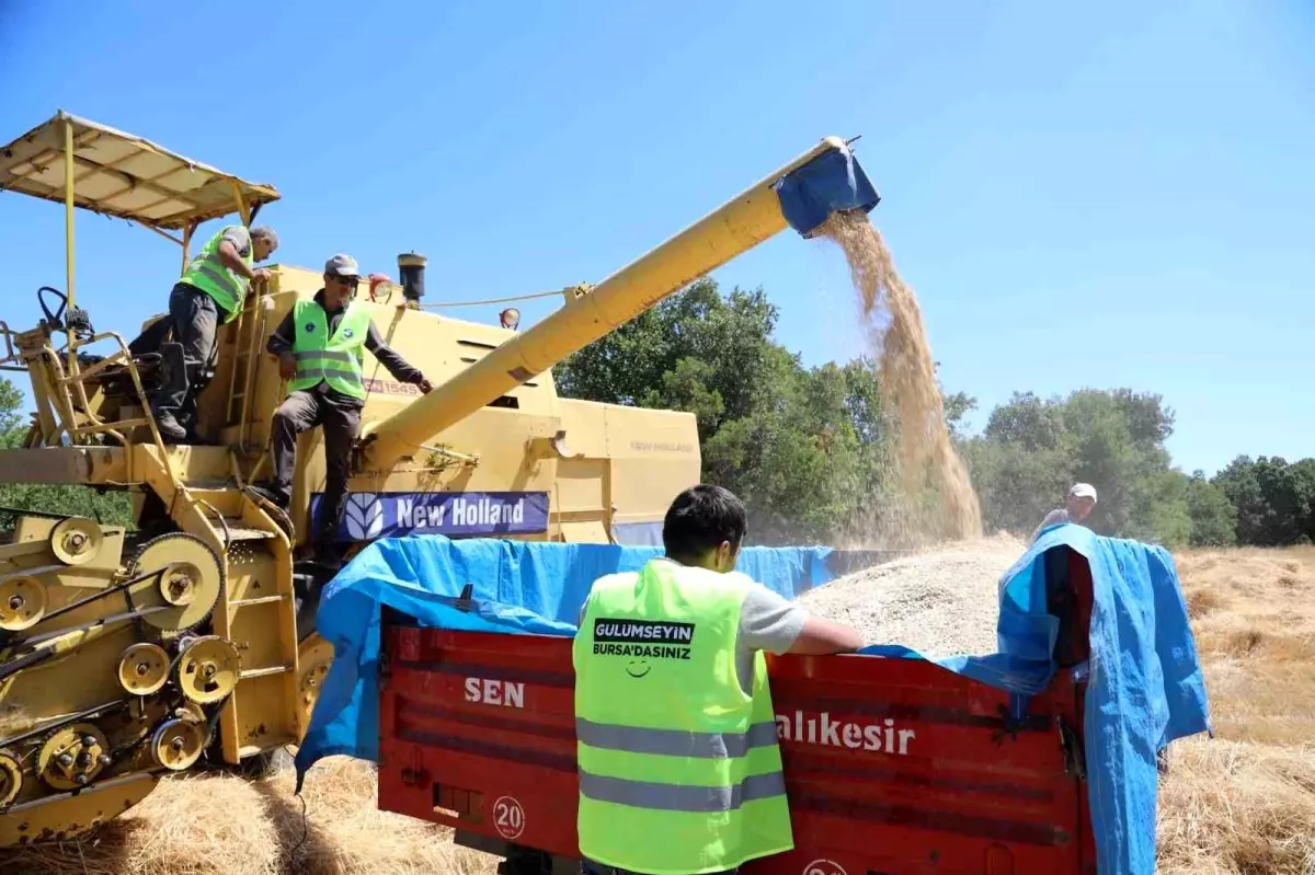 Bursa Büyükşehir Belediyesi'nden Çiftçilere 2025 Destek Paketi