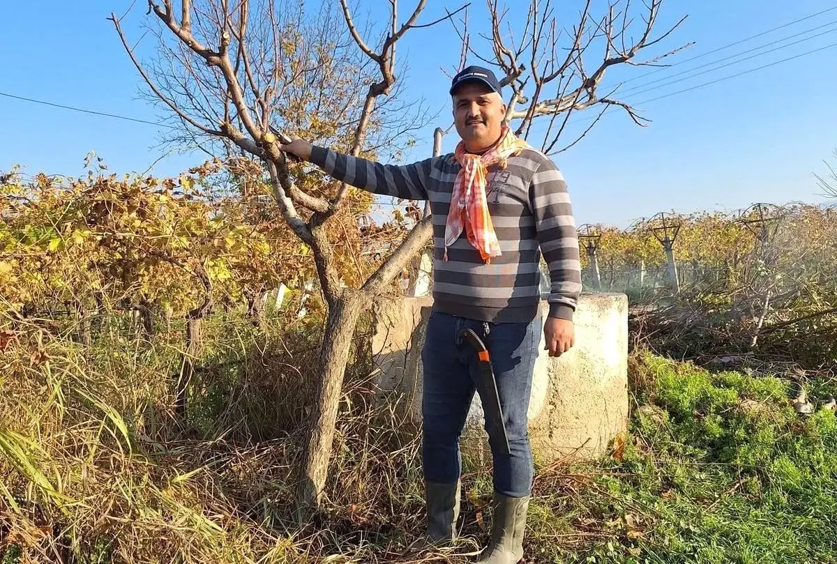 Manisa Sarıgöl'de Kışın da Tarım Devam Ediyor