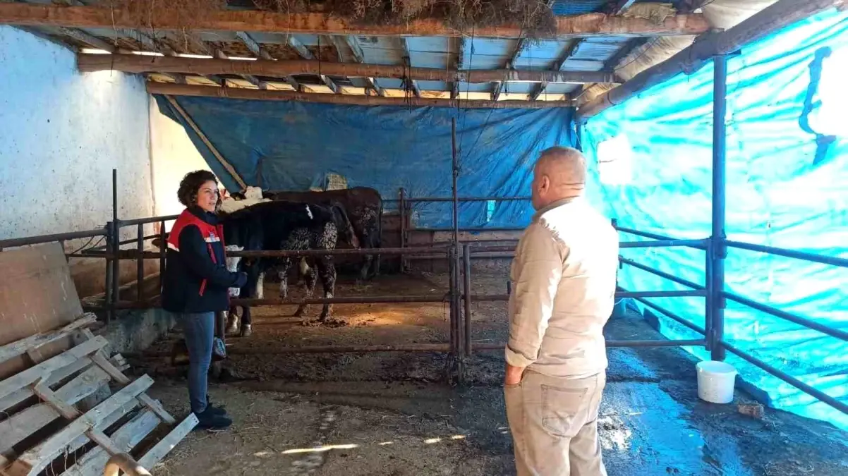 Afyonkarahisar’da ÇMVA Denetimleri Devam Ediyor