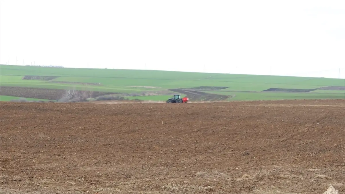 Edirne’de Mera İyileştirme Projesi 2026’da Hayvan Yetiştiricilerine Açılıyor