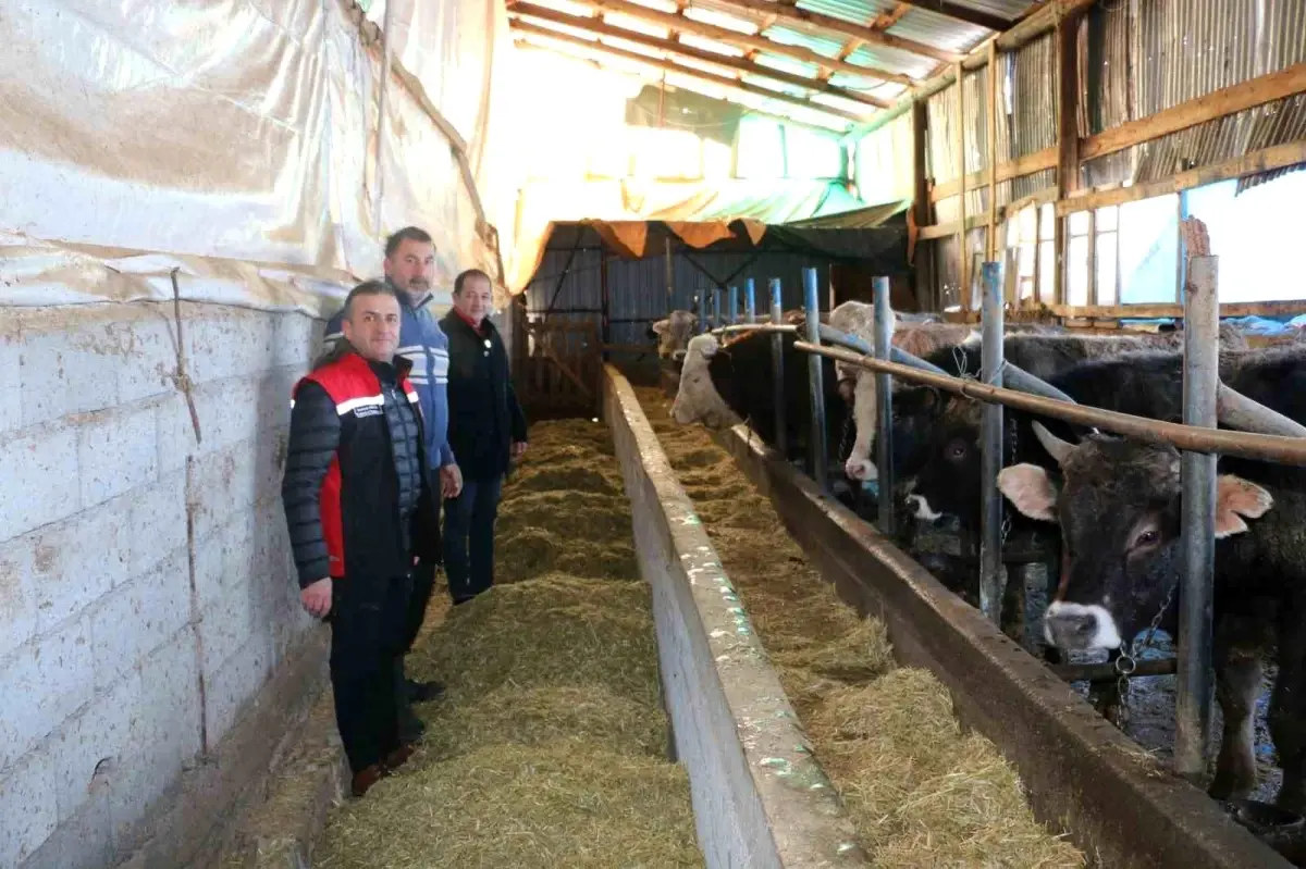 Aile İşletmeleri Süt Üretiminde Kritik Bir Rol Üstleniyor