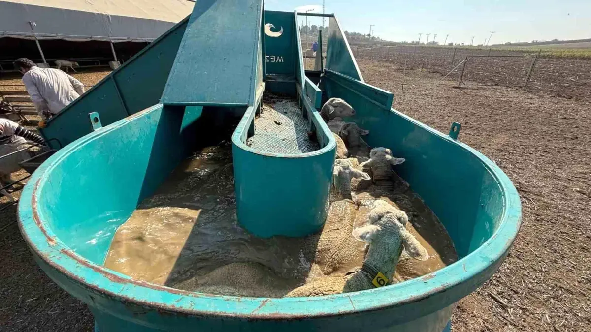 İnegöl Belediyesi’nin Tarım ve Üretici Destek Programları Güçleniyor