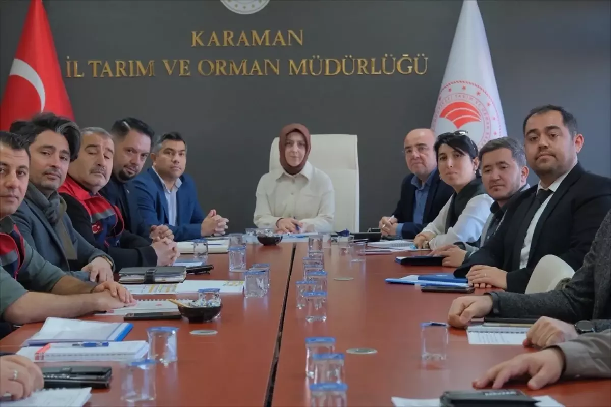Karaman İl Tarım ve Orman Müdürlüğü'nden 2025 Strateji Planı ve Gıda Güvenliği Görüşmeleri