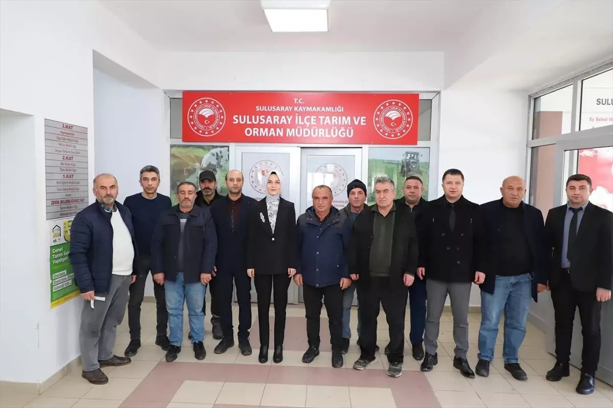 Sulusaray’da Çiftçilere Nohut Tohumu Dağıtıldı